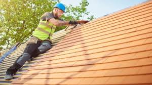 Roof Moss and Algae Removal in Winnsboro, TX