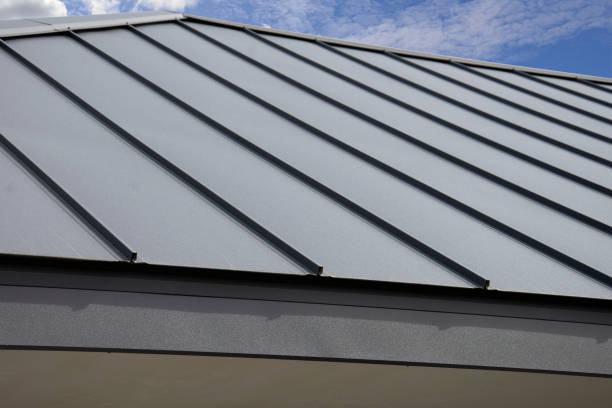 Best Sheet Metal Roofing  in Winnsboro, TX